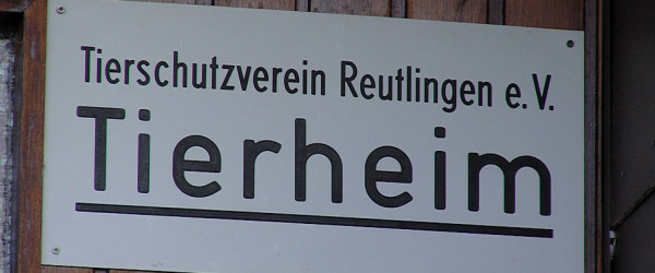 Tierheim Reutlingen (Quelle: RIK)