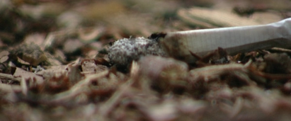 Zigarette Waldbrandgefahr (Quelle: RIK)