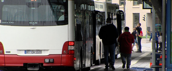 Stadtbusnetz (Quelle: RIK)
