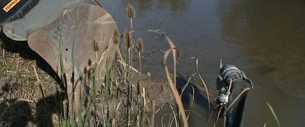 Markwasensee (Quelle: RIK)