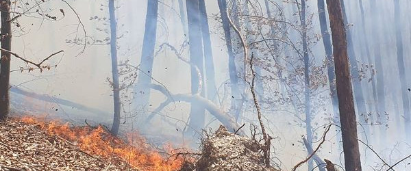 Waldbrand Urach Kunstm&uuml;hlefels (Quelle: Feuerwehr Bad Urach)
