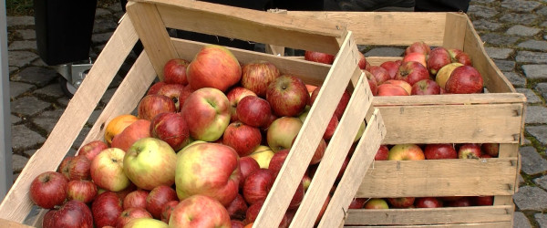 &Auml;pfel (Quelle: RIK)