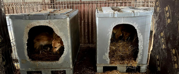 Palettenboxen (Quelle: RIK)