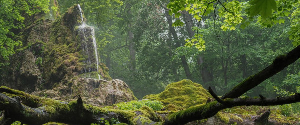 G&uuml;tersteiner Wasserf&auml;lle (Quelle: Photoclub Reutlingen)