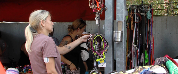 Riesenflohmarkt im Tierheim Reutlingen (Quelle: RIK)